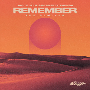 Remember (Miguel Migs Retro Club Remix)