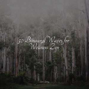 Rain, Leaves, Evening