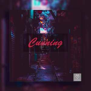 808 Trap beat "Cunning"