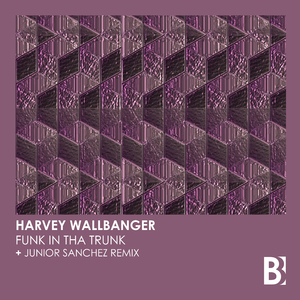 Funk In Tha Trunk (Junior Sanchez Remix)