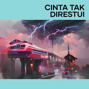 Cinta Tak Direstui