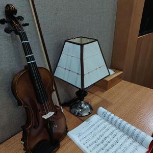 鸟之诗（小提琴版）