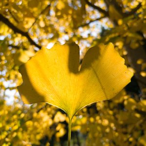 久雨初晴揽清欢