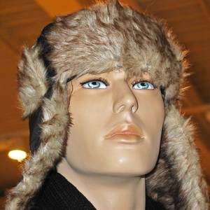 The Model (Orchestral Cover Version)