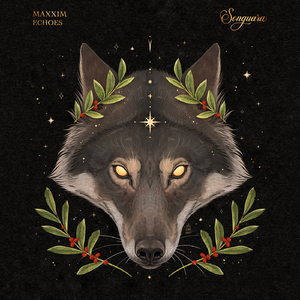 Echoes (Extended Mix)