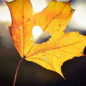 理想热情的旋律