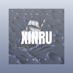 沉睡的泪 (Remix)