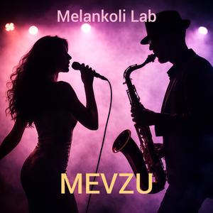 Mevzu