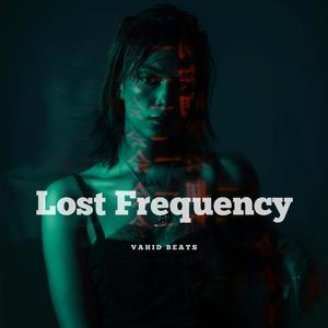 Lost Frequency