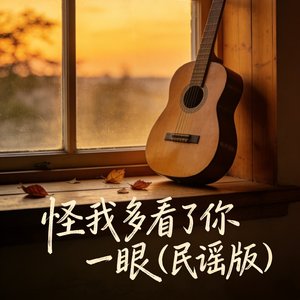 怪我多看了你一眼.mp3