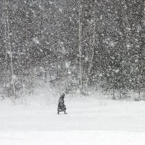 如果明天雪漫河南