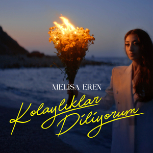 Kolaylıklar Diliyorum