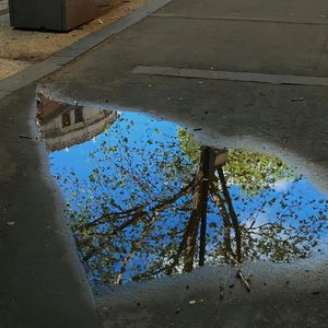 故乡的女孩-整曲 伴奏