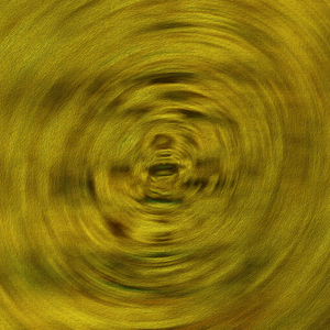 Eco