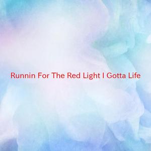 Runnin' For The Red Light (I Gotta Life) (Tribute version originally performed by Meat Loaf)