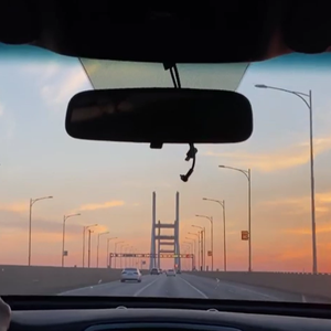 drivers license (Cover)