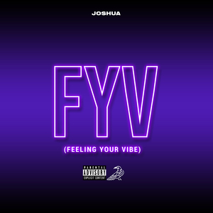 FYV (Feeling Your Vibe)