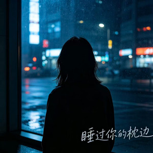 睡过你的枕边(柔情版)