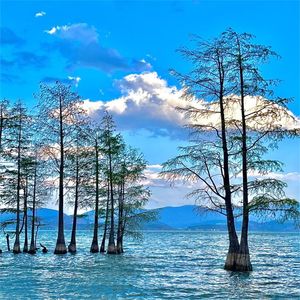 局外人还是局中人