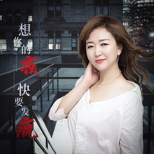 想你的夜快发疯（DJ月之歌版）