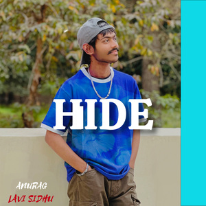 Hide
