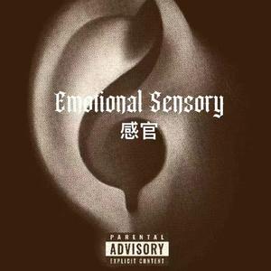 情绪感官