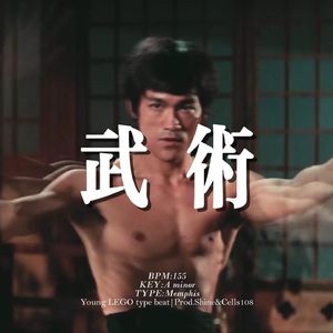 [Free] 孟菲斯 "武术" 钢琴 人声 冰冷 揽佬&Young Lego type beat
