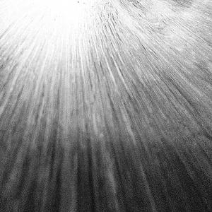 Woodgrain