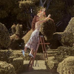 Seems Like Old Times