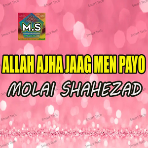 O Bewafa Bedardi
