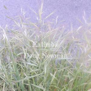 Kalimba (uke tune African melody)