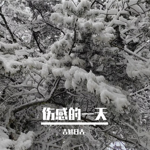 伤感的一天 伴奏