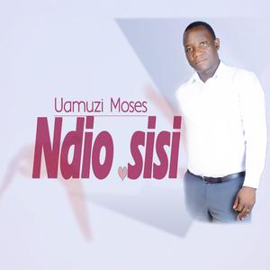 Ndio sisi