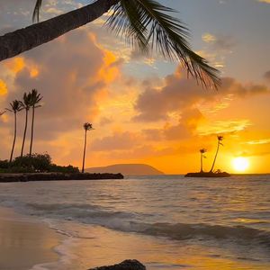 Angledust (speed up)