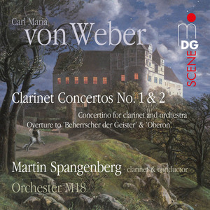 Concertino for Clarinet and Orchestra, Wev N.10: Adagio ma non troppo - Andante - Allegro