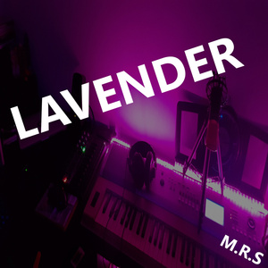 Lavender