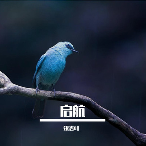 启航