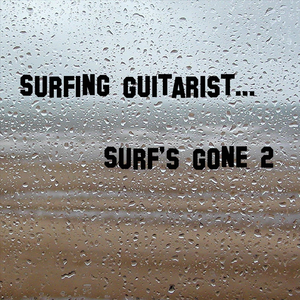 Surf's Gone 2