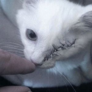 "time machine"jerk type beat