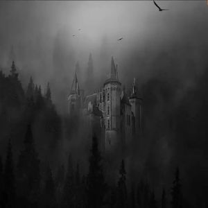 在这世界上没有天使