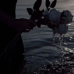 依兰爱情故事吉他版（片段）