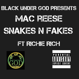 Snakes and Fakes (feat. Richie Rich)