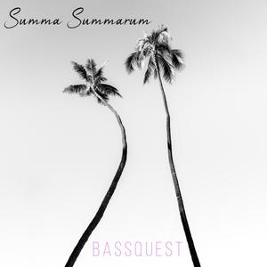 Summa Summarum