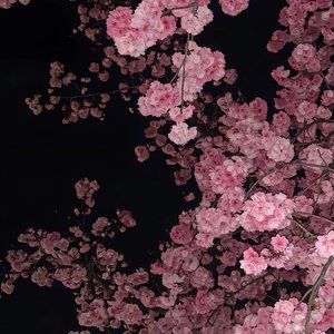 时间偷走的记忆