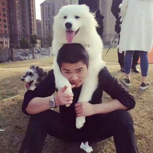 July你是我曾经拼了命爱过的人（翻自 一只情哥哥）