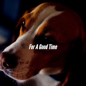 Exciting Ambiance for Slacking Doggy