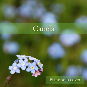 Canela (Piano Solo)