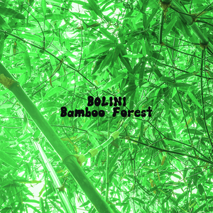 Bamboo Forest