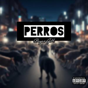 PERROS