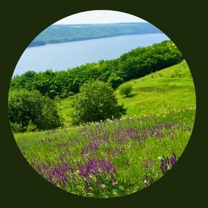 Михалкове вітає